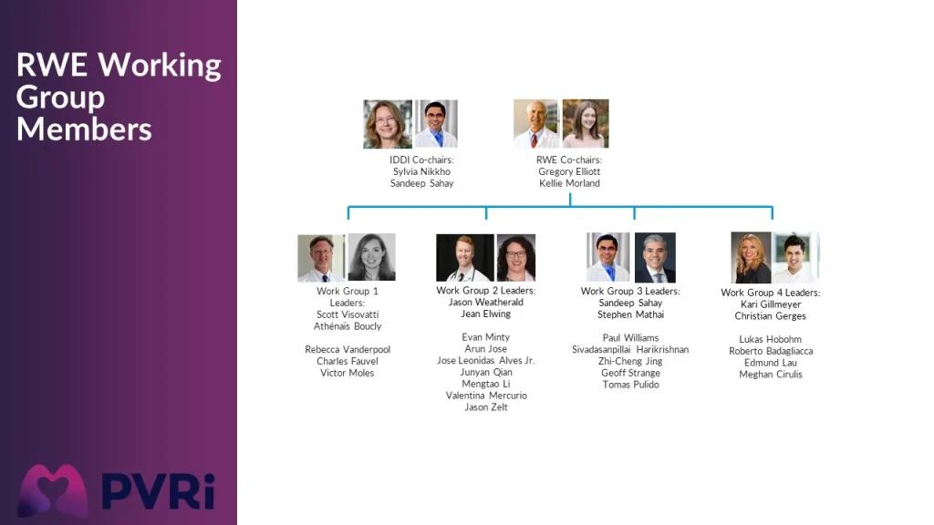 RWE Working Group Members